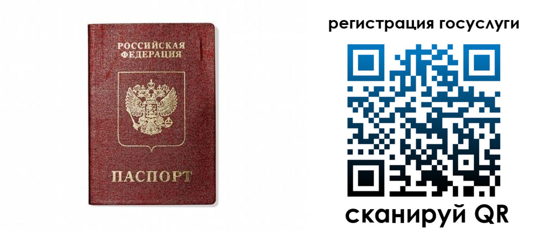 прописка паспорт в Зеленоградске
